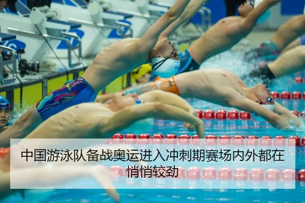 中国游泳队备战奥运进入冲刺期赛场内外都在悄悄较劲